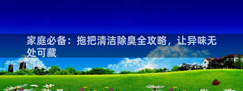 尊龙凯时人生就是搏!官网：家庭必备：拖把清洁除臭全攻略，