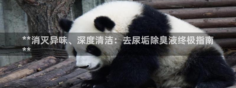 kb88凯时会员登录