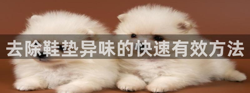 尊龙人生就是博现金：去除鞋垫异味的快速有效方法