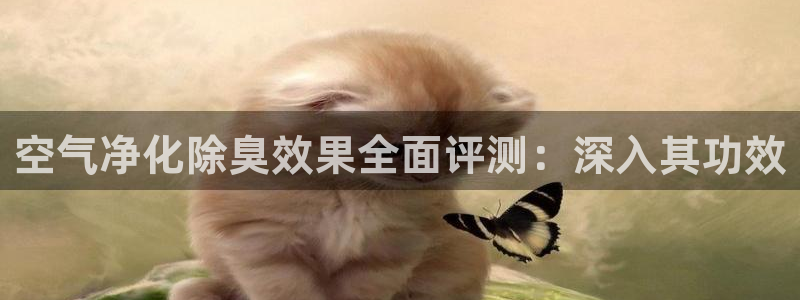 凯时登录首页,凯时K66：空气净化除臭效果全面评测：深入