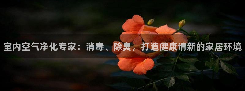 尊龙凯时登入首页：室内空气净化专家：消毒、除臭，打造健康