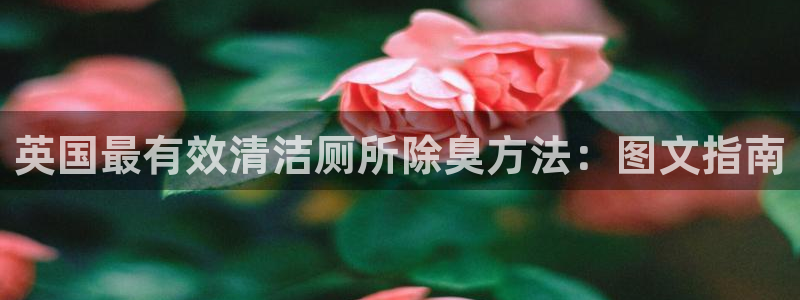 尊龙网页