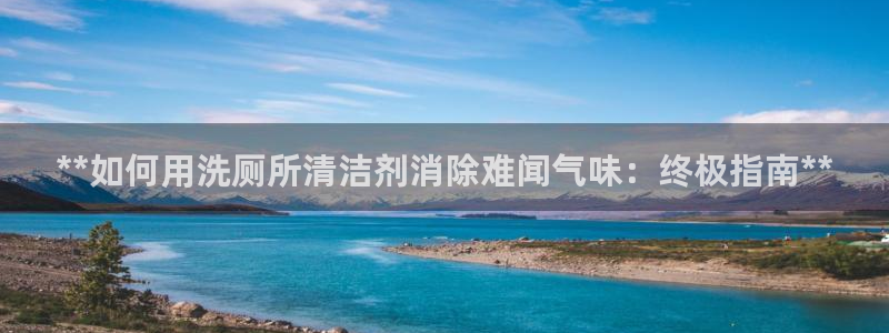 尊龙集团：**如何用洗厕所清洁剂消除难闻气味：终极指南*