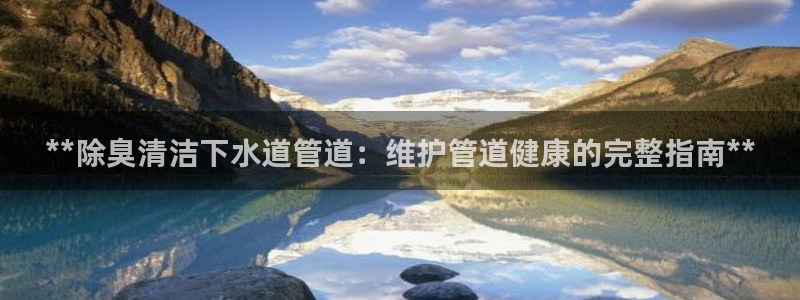 尊龙旗舰厅app：**除臭清洁下水道管道：维护管道健康的完整