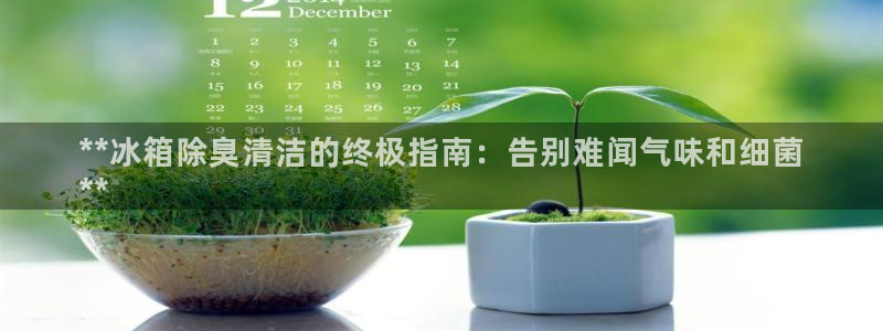 尊龙游戏官网游戏特色：**冰箱除臭清洁的终极指南：告别难
