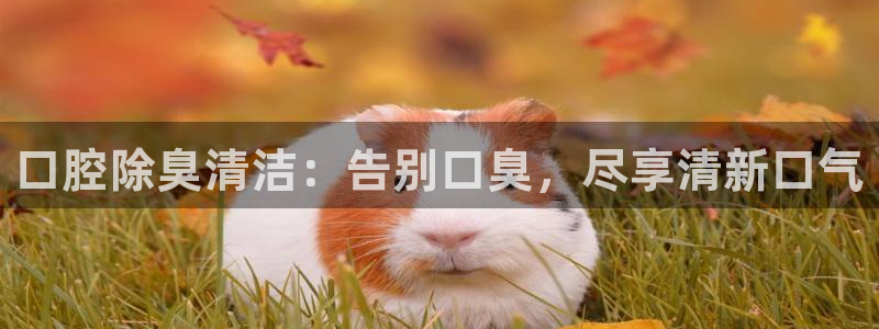 尊龙体育正规么：口腔