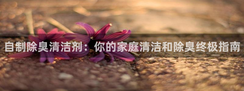 AG尊龙注册在线游戏：自制除臭清洁剂：你的家庭清洁和除臭