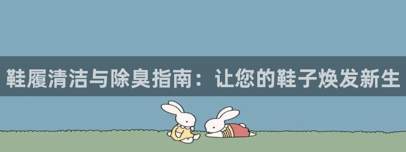 z6尊龙平台是哪里的：鞋履清洁与除臭指南：让您的鞋子焕发