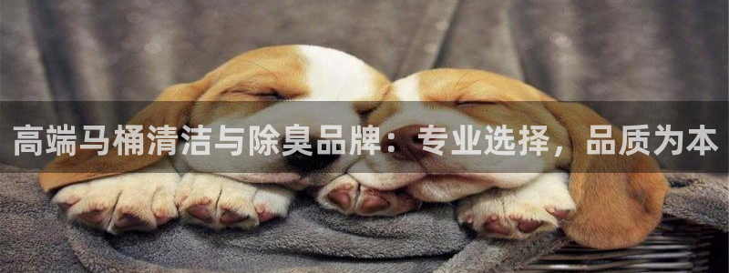 尊龙凯时白家乐Abb下载