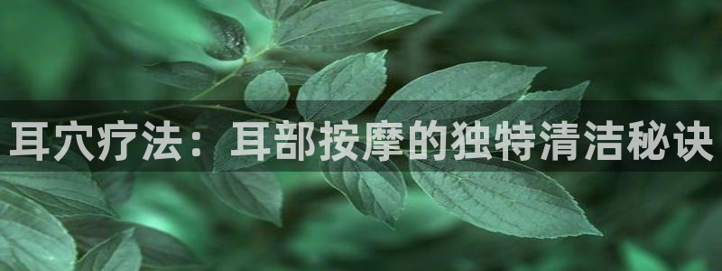尊龙官方平台是正品吗