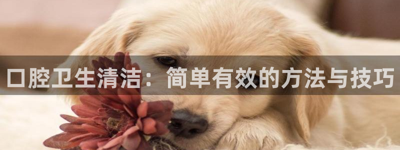 尊龙凯时百家乐手机下载