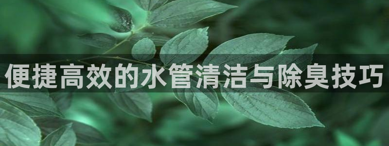 尊龙z6集团
