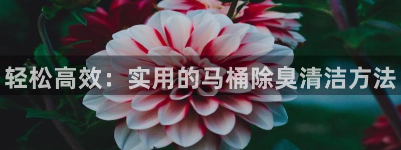 尊龙凯时可以提现吗