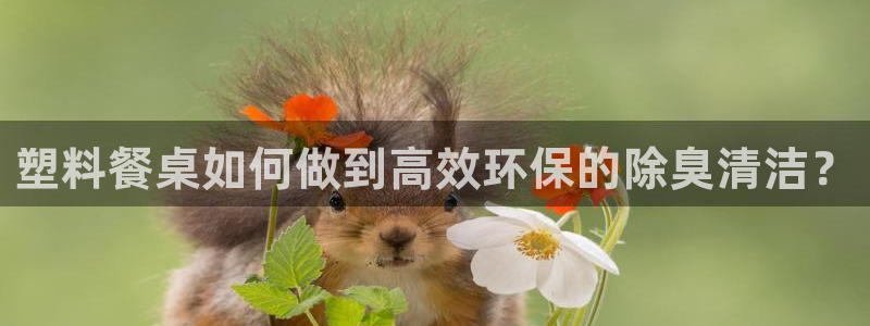 尊龙凯时ag旗舰厅