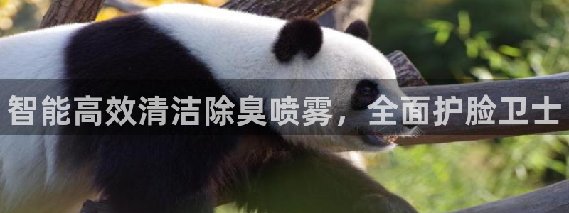 尊龙人生就是博旧