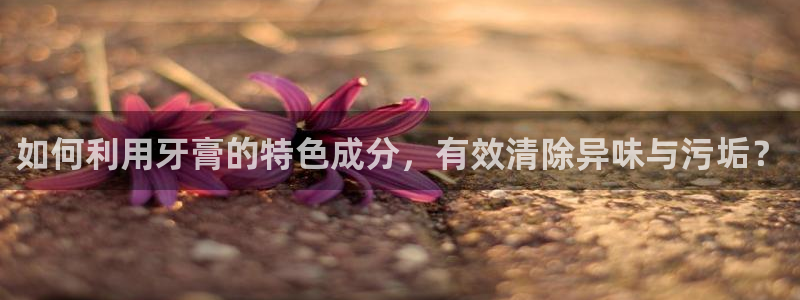 尊龙官网免费下载安卓