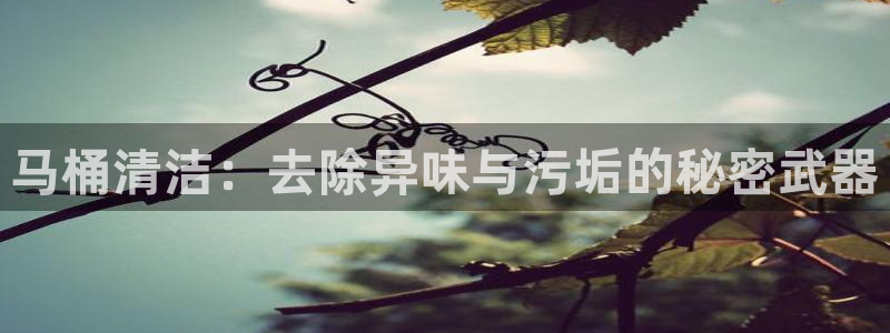 尊龙凯时电竞