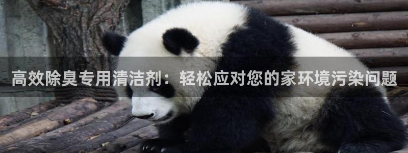 尊龙手机官方客户端下载安装
