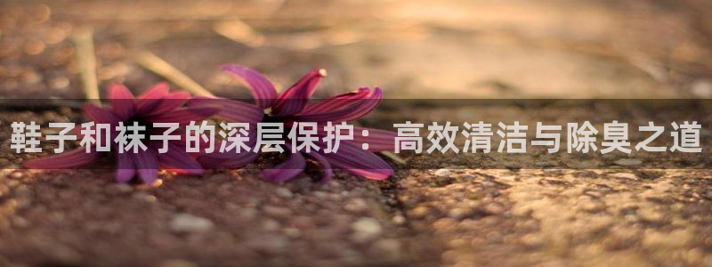尊龙凯时发展历程