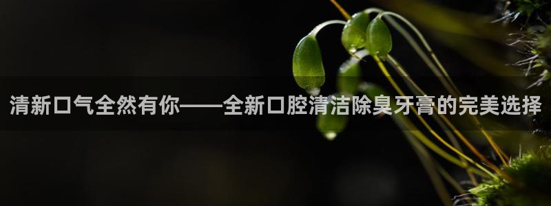 尊龙凯时台子