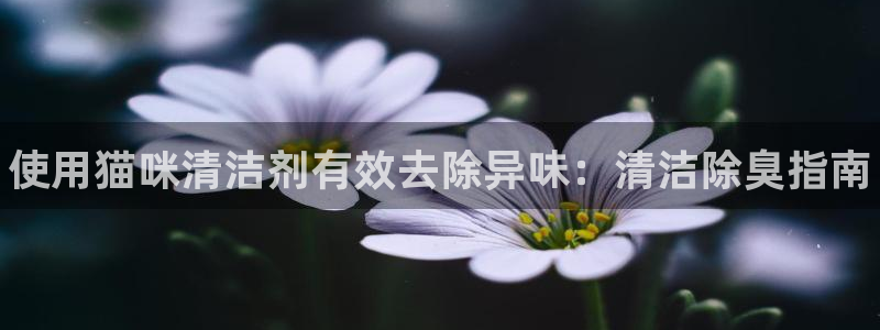 尊龙官网/首选kpm：使用猫咪清洁剂有效去除异味：清洁除