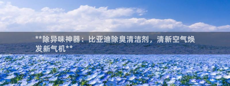 凯时官网手机版首页：**除异味神器：比亚迪除臭清洁剂，清