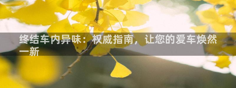 凯时国际官方版：终结