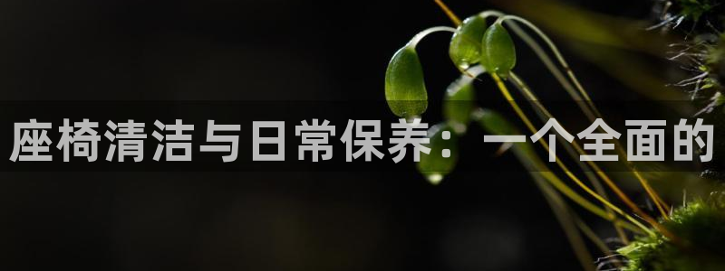 凯时赢来就送38